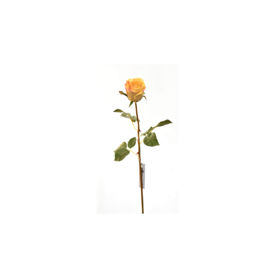 Rose 60Cm - Jaune Déstockage