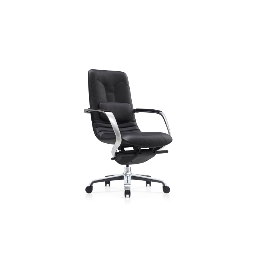 Fauteuil Sénateur Dolphin Mobilier pro