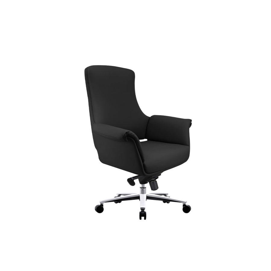 Fauteuil Senateur Huge - Noir Salon et séjour