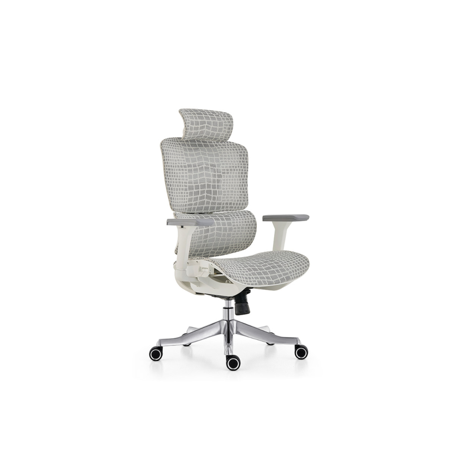 Fauteuil Président Ergosupport - Gris Clair Déstockage