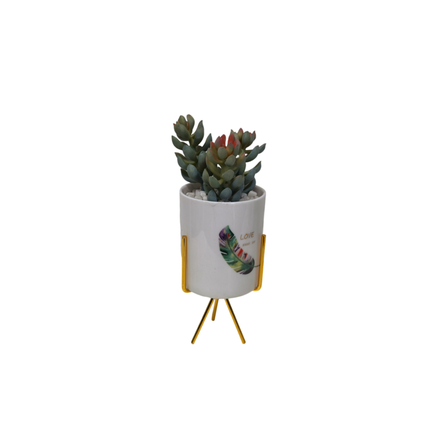 Plante Artificielle Avec Pot En Ceramic 11X11X26Cm - Blanc Décoration