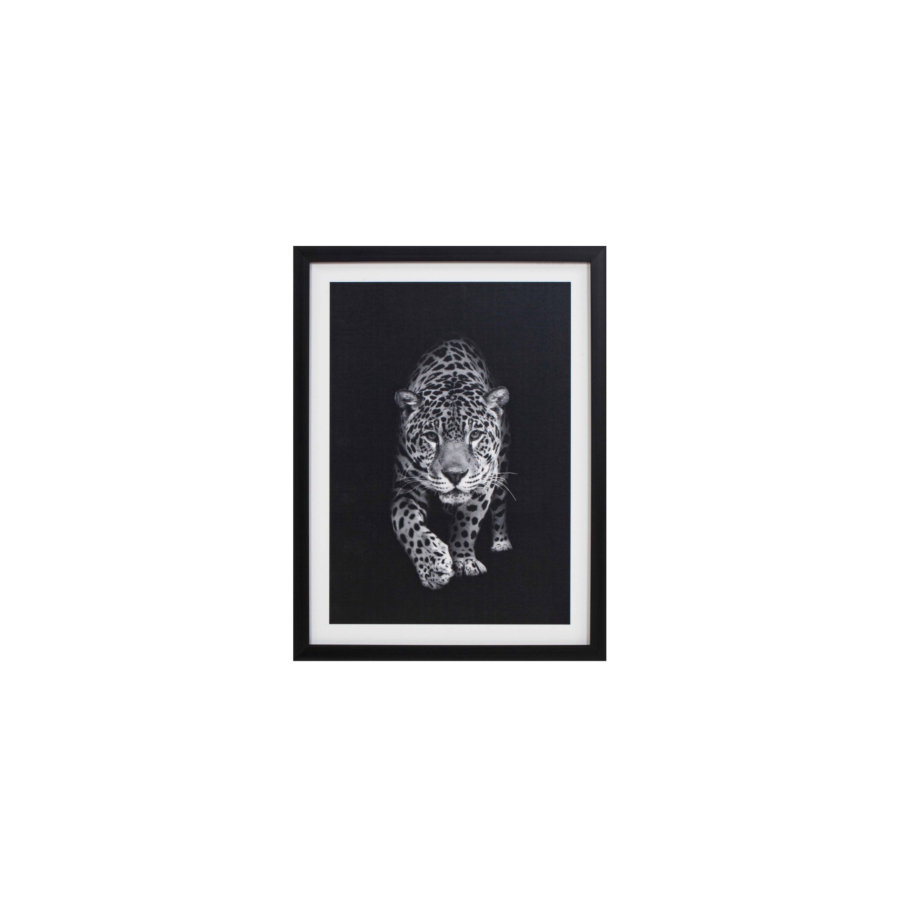 Tableau Le Tigre Avec Cadre - Blanc / Noir Décoration