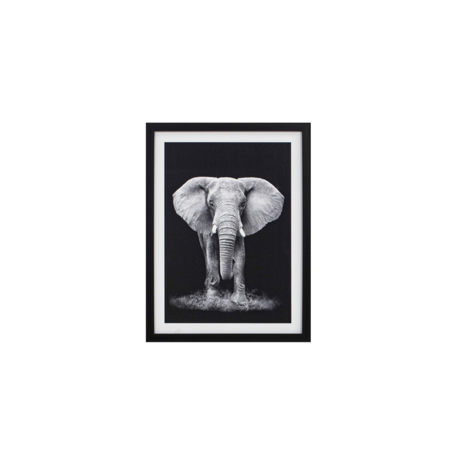 Tableau L'Elephant Avec Cadre - Blanc / Noir Décoration