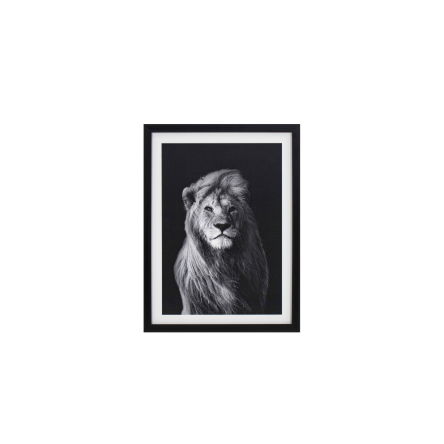 Tableau Le Lion Avec Cadre - Blanc / Noir Décoration