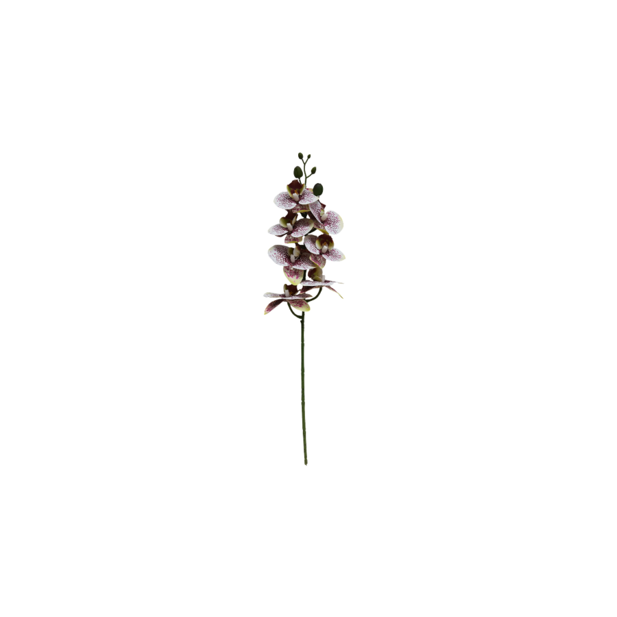 Plante Artificielle Orchidée 68Cm - Marron Offres Ramadanesques