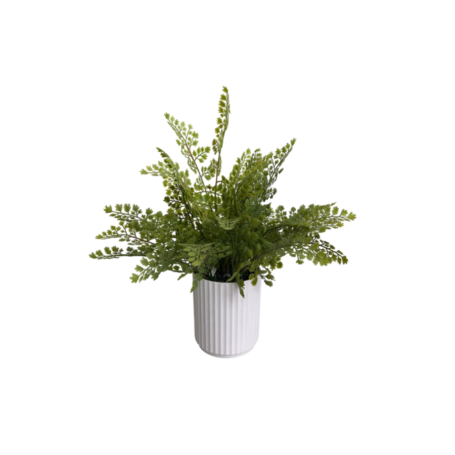 Plante Artificielle Fougere Avec Pot 30X30X42Cm - Vert Offres Ramadanesques