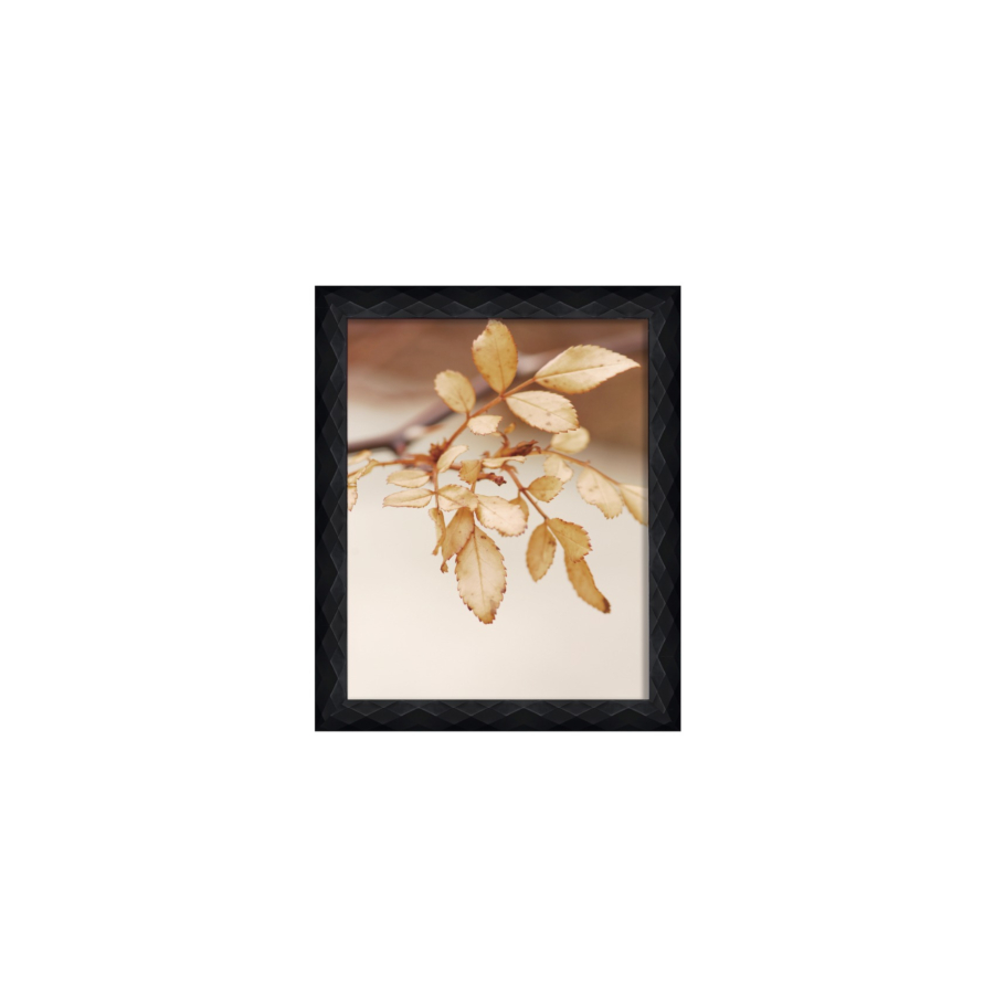 Cadre Photo Luxe En Ps 20X25Cm - Noir Offres Ramadanesques