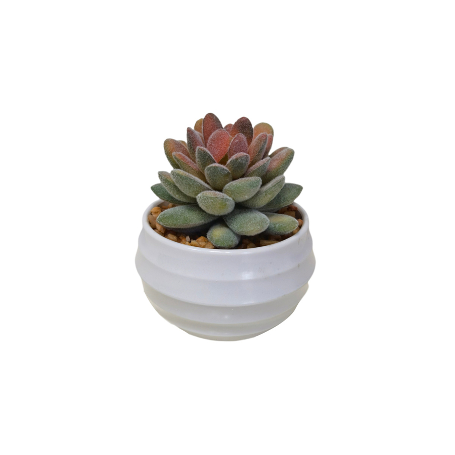 Plante Artificielle Avec Pot En Melamine 8,5X8,5X10Cm - Blanc Soldes été vague 2