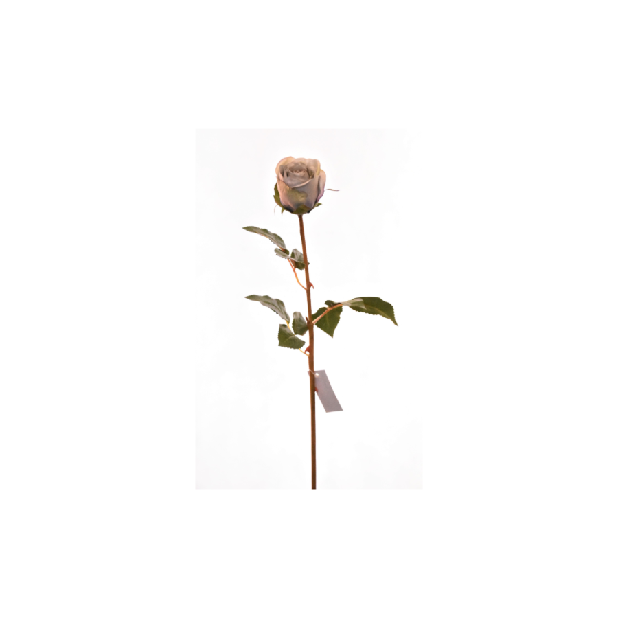 Rose 60Cm - Bleu Déstockage