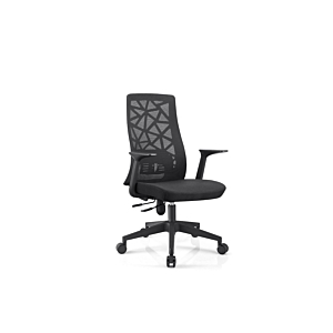 Fauteuil Sénateur Beirut