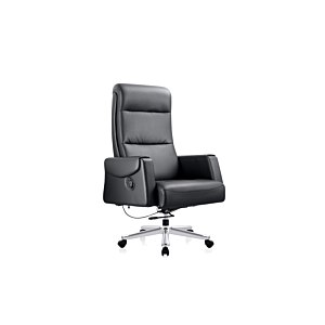 Fauteuil Président New Or10 Déstockage