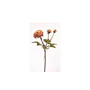 Rose 55Cm - Rose Clair Déstockage
