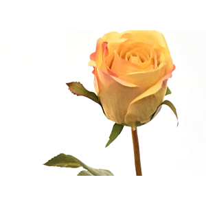 Rose 60Cm - Jaune