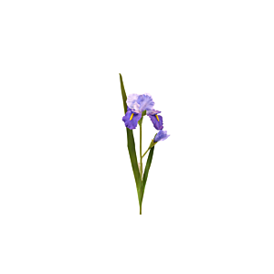 Fleur Iris 95Cm - Bleu Déstockage