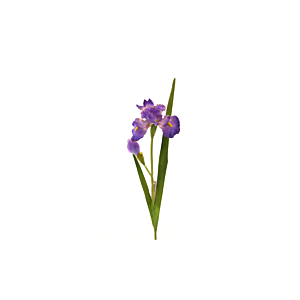 Fleur Iris 95Cm - Violet Déstockage