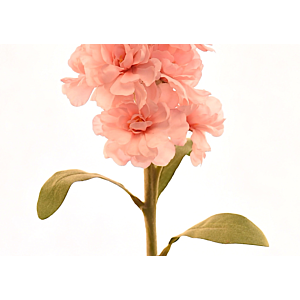 Fleur Delphinium 80Cm - Rose Clair
