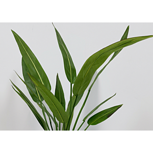 Plante Artificielle 50X75Cm - Vert