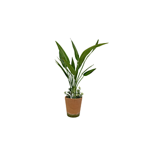 Plante Artificielle 50X75Cm - Vert Plantes et fleurs artificielles