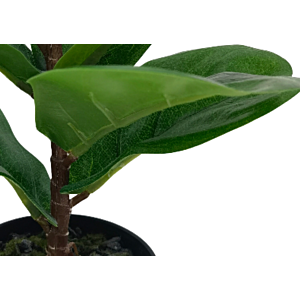 Plante Artificielle 22X27Cm - Vert