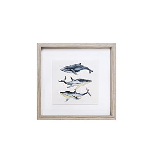Tableau Les Mammifères 30X30 - Bleu Décorations