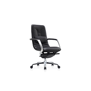 Fauteuil Sénateur Dolphin Mobilier pro