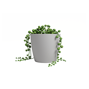 Pot San Remo Pot 6Cm - Gris Clair