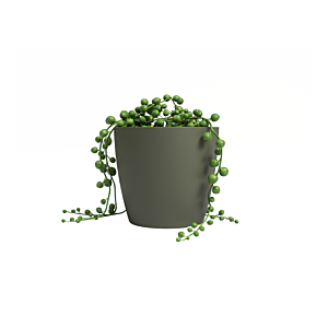 Pot San Remo Pot 6Cm - Vert Kaki