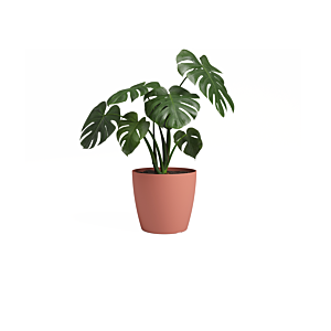 Pot San Remo Pot 12Cm - Rose