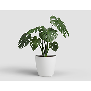 Pot San Remo Pot 14Cm - Blanc