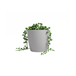 Pot San Remo Pot 16Cm - Gris Clair