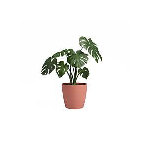 Pot San Remo Pot 25Cm - Rose