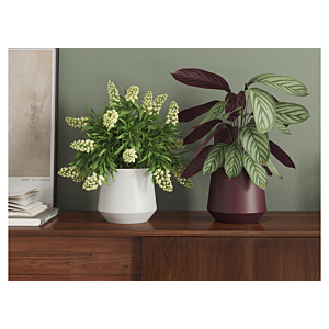 Pot Aurora 14Cm - Blanc