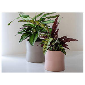 Pot Diana 11Cm - Taupe