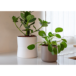 Pot Juno 19Cm - Blanc