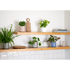 Pot Juno 19Cm - Gris Foncé