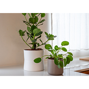 Pot Juno 14Cm - Taupe