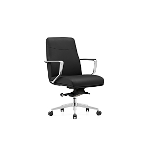 Fauteuil Senateur Workwell