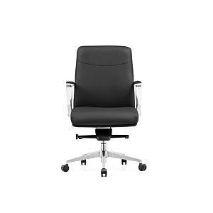 Fauteuil Senateur Workwell