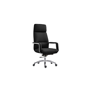 Fauteuil President Zenith