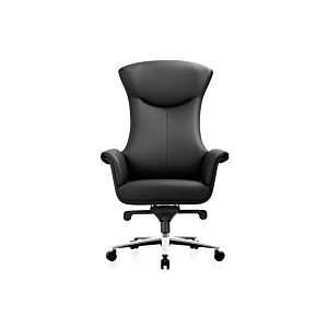 Fauteuil President Huge