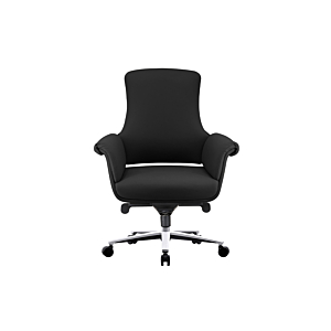 Fauteuil Senateur Huge