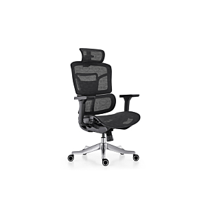 Fauteuil Président Ergosupport Mobilier Pro