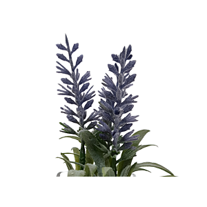 Lavande Artificielle Avec Pot En Verre 9,5X9X15Cm - Blanc