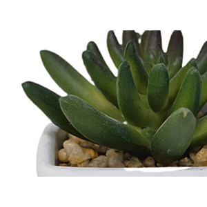 Plante Artificielle Avec Pot En Melamine 7,5X6X11,5Cm - Blanc