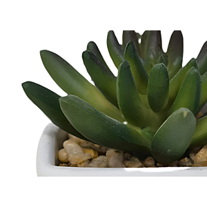 Plante Artificielle Avec Pot En Melamine 6X6X7,5Cm - Blanc