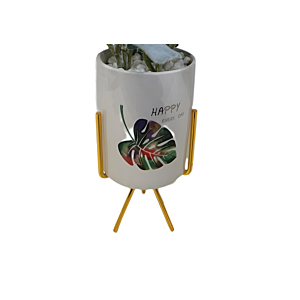Plante Artificielle Avec Pot En Ceramic 13X13X32 Cm - Blanc