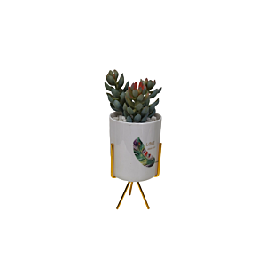 Plante Artificielle Avec Pot En Ceramic 11X11X26Cm - Blanc Décoration