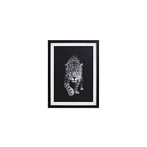 Tableau Le Tigre Avec Cadre - Blanc / Noir Décoration