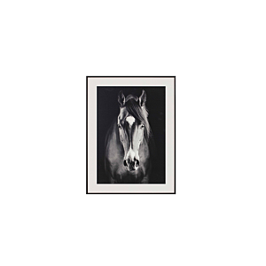 Tableau Le Cheval Avec Cadre – Blanc / Noir Décoration