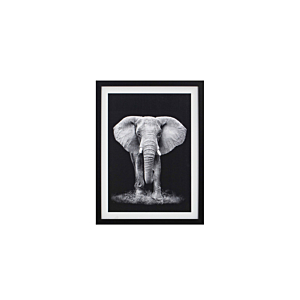 Tableau L'Elephant Avec Cadre - Blanc / Noir Décoration